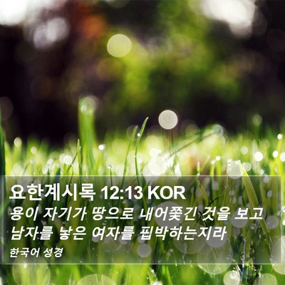 요한계시록 12:13 KOR Bible Verse Image