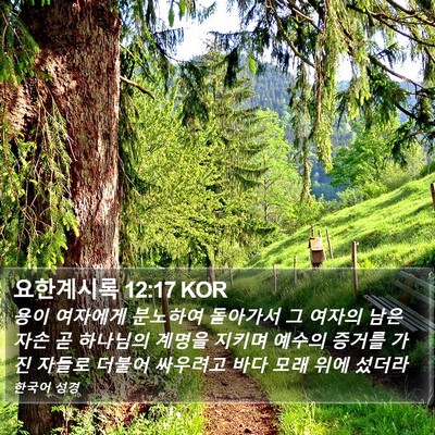 요한계시록 12:17 KOR Bible Verse Image