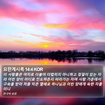 요한계시록 14:4 KOR Bible Verse Image