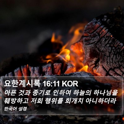 요한계시록 16:11 KOR Bible Verse Image