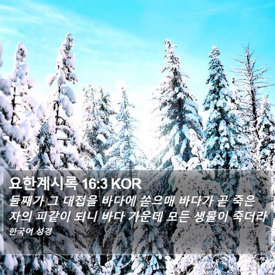 요한계시록 16:3 KOR Bible Verse Image