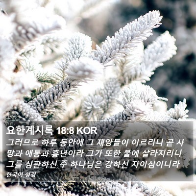 요한계시록 18:8 KOR Bible Verse Image