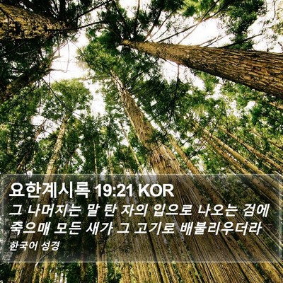 요한계시록 19:21 KOR Bible Verse Image