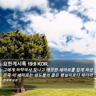 요한계시록 19:8 KOR Bible Verse Image