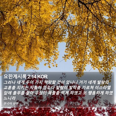 요한계시록 2:14 KOR Bible Verse Image