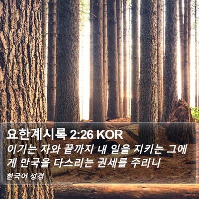 요한계시록 2:26 KOR Bible Verse Image