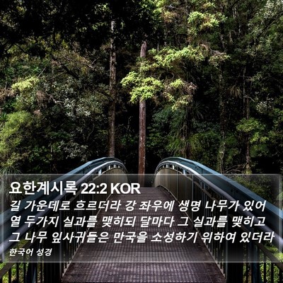 요한계시록 22:2 KOR Bible Verse Image