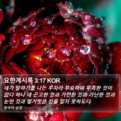 요한계시록 3:17 KOR Bible Verse Image
