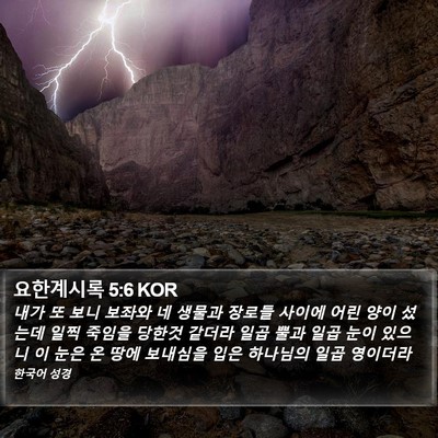 요한계시록 5:6 KOR Bible Verse Image