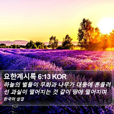 요한계시록 6:13 KOR Bible Verse Image