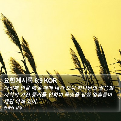 요한계시록 6:9 KOR Bible Verse Image