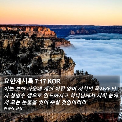 요한계시록 7:17 KOR Bible Verse Image