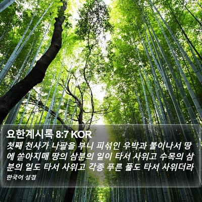 요한계시록 8:7 KOR Bible Verse Image