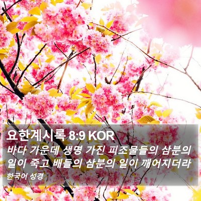 요한계시록 8:9 KOR Bible Verse Image