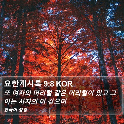 요한계시록 9:8 KOR Bible Verse Image