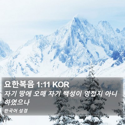 요한복음 1:11 KOR Bible Verse Image