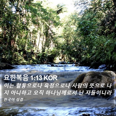요한복음 1:13 KOR Bible Verse Image