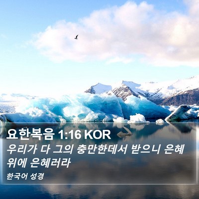 요한복음 1:16 KOR Bible Verse Image