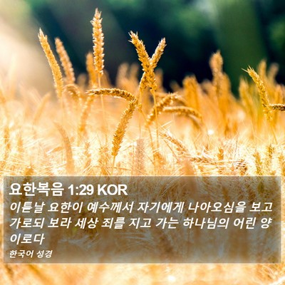 요한복음 1:29 KOR Bible Verse Image