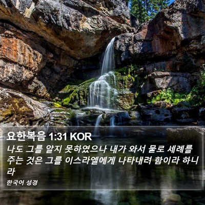 요한복음 1:31 KOR Bible Verse Image