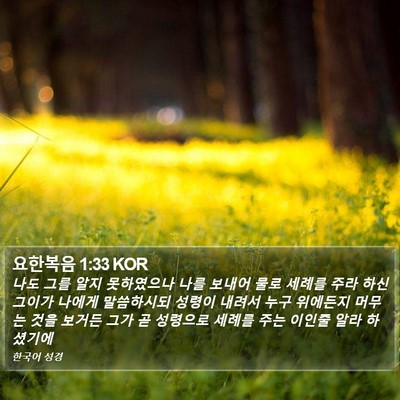 요한복음 1:33 KOR Bible Verse Image