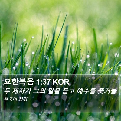 요한복음 1:37 KOR Bible Verse Image