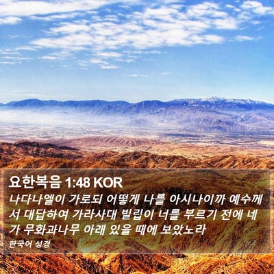 요한복음 1:48 KOR Bible Verse Image