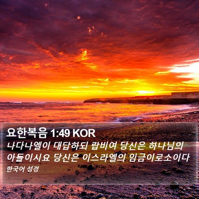 요한복음 1:49 KOR Bible Verse Image