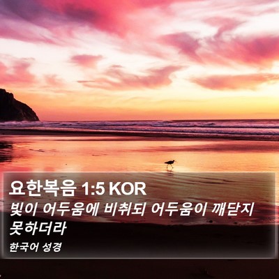 요한복음 1:5 KOR Bible Verse Image