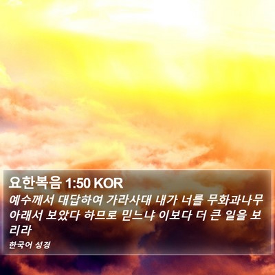 요한복음 1:50 KOR Bible Verse Image