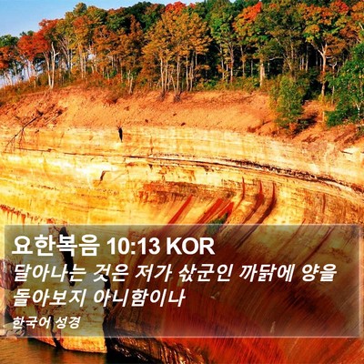 요한복음 10:13 KOR Bible Verse Image