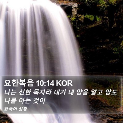 요한복음 10:14 KOR Bible Verse Image
