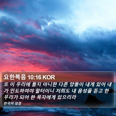 요한복음 10:16 KOR Bible Verse Image