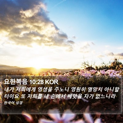 요한복음 10:28 KOR Bible Verse Image