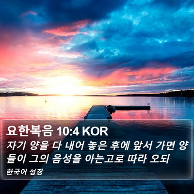 요한복음 10:4 KOR Bible Verse Image