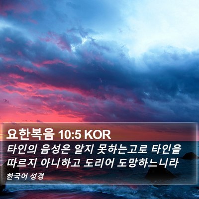 요한복음 10:5 KOR Bible Verse Image