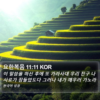 요한복음 11:11 KOR Bible Verse Image