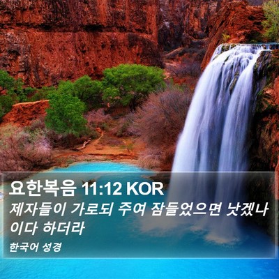 요한복음 11:12 KOR Bible Verse Image
