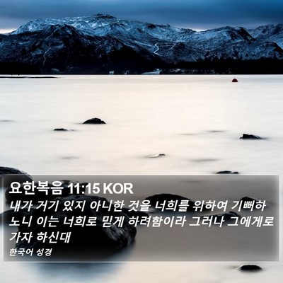 요한복음 11:15 KOR Bible Verse Image