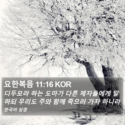 요한복음 11:16 KOR Bible Verse Image