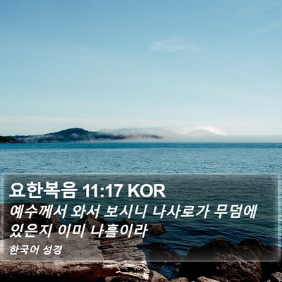 요한복음 11:17 KOR Bible Verse Image