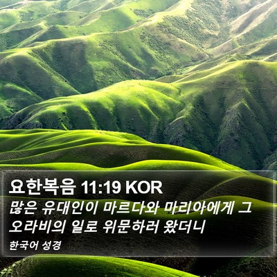 요한복음 11:19 KOR Bible Verse Image