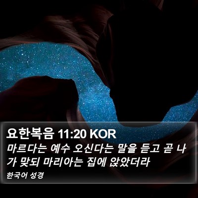 요한복음 11:20 KOR Bible Verse Image