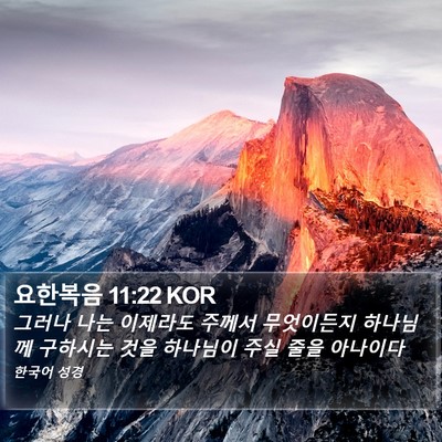 요한복음 11:22 KOR Bible Verse Image
