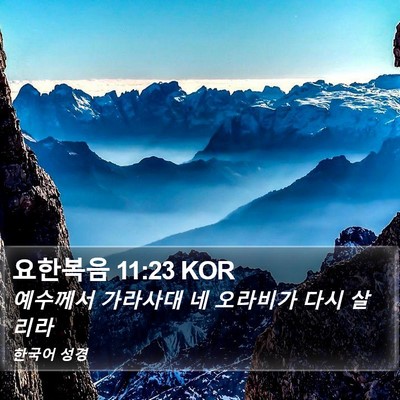 요한복음 11:23 KOR Bible Verse Image