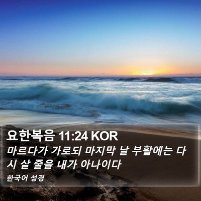 요한복음 11:24 KOR Bible Verse Image