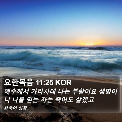 요한복음 11:25 KOR Bible Verse Image