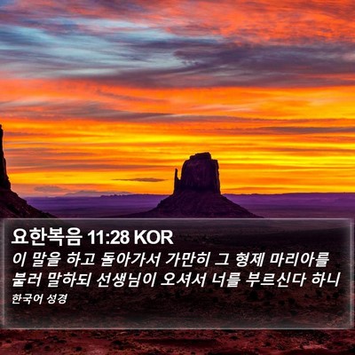 요한복음 11:28 KOR Bible Verse Image