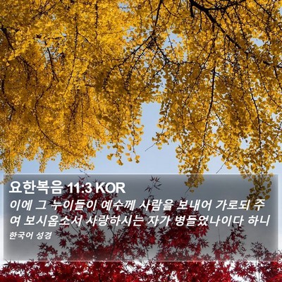 요한복음 11:3 KOR Bible Verse Image