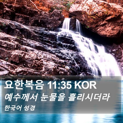 요한복음 11:35 KOR Bible Verse Image